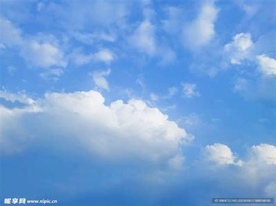 周公解梦:梦见猫的6种含义