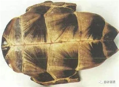 塔罗牌入门必知:15个核心概念详解